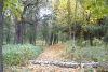 Тальнівський парк, img_3282fc